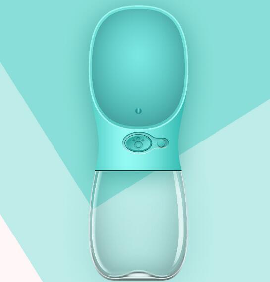Travel Bottle