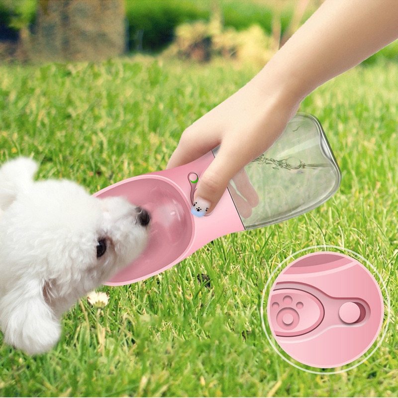Travel Bottle