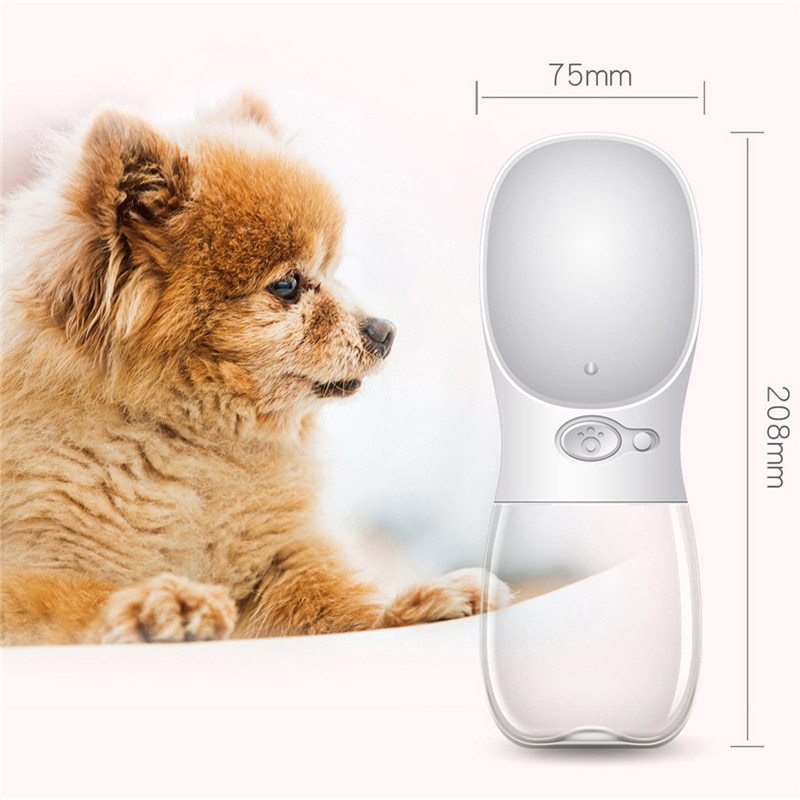 Travel Bottle