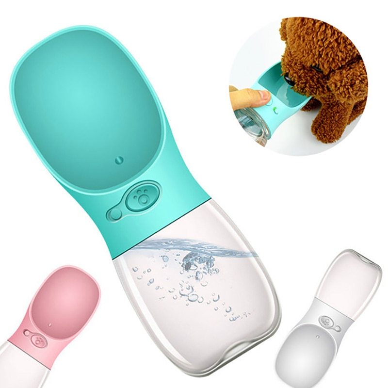 Travel Bottle