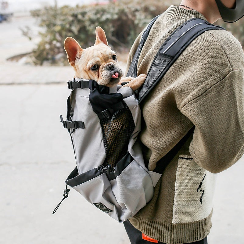 TRAVEL PET