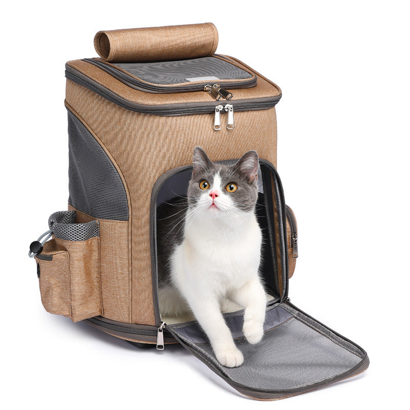 Trolley Pet