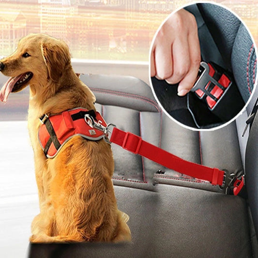 Cintura di Sicurezza per Auto