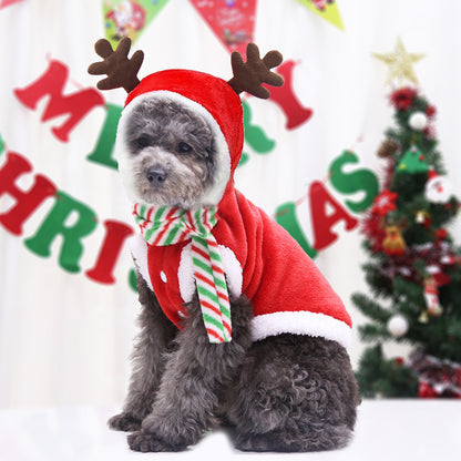 Dog Christmas Pet