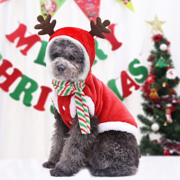 Dog Christmas Pet