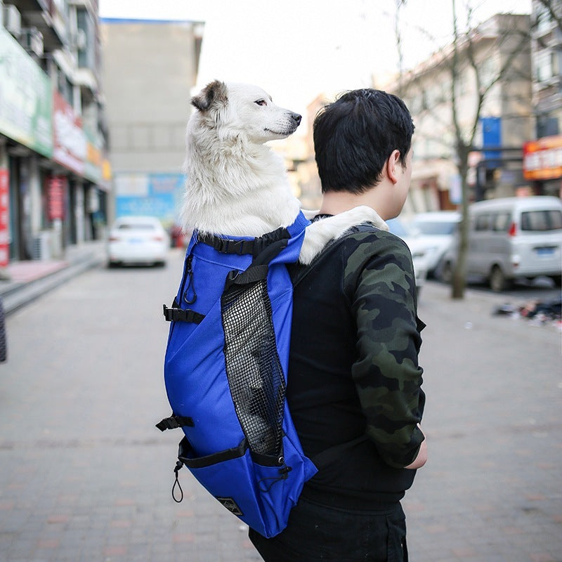 Zaino Travel Pet