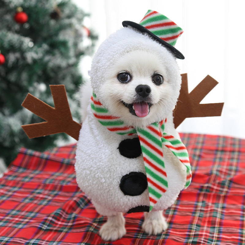 Dog Christmas Pet