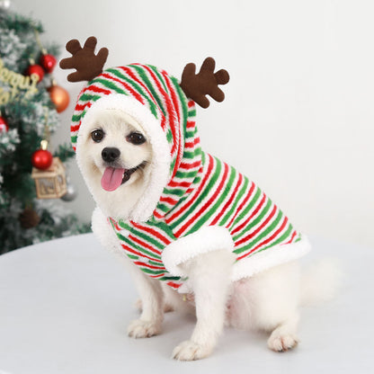 Dog Christmas Pet